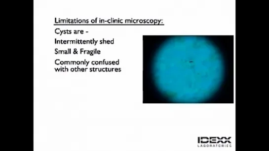 Giardia