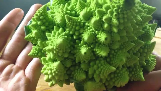 Trimming and preparing Romanesco