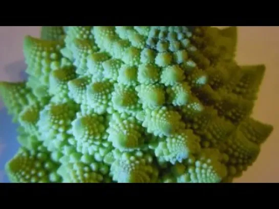 romanesco