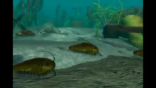 Cambrian Explosion Animals