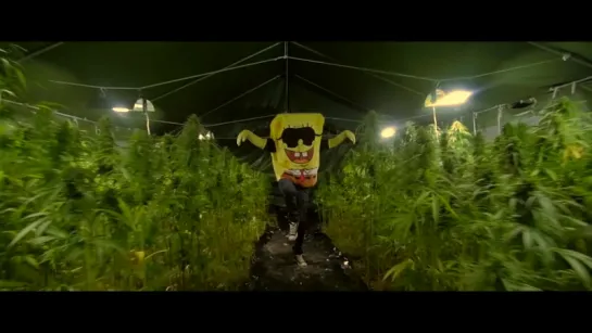 SpongeBOZZ - Planktonweed