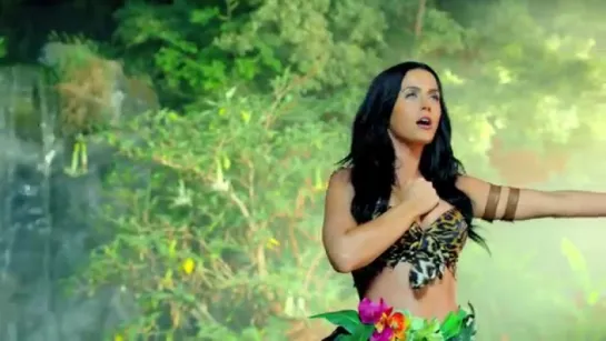 Katy Perry - Roar