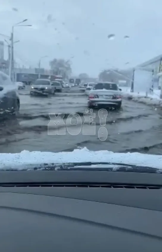 Лужа в Озерках. Видео: читатель