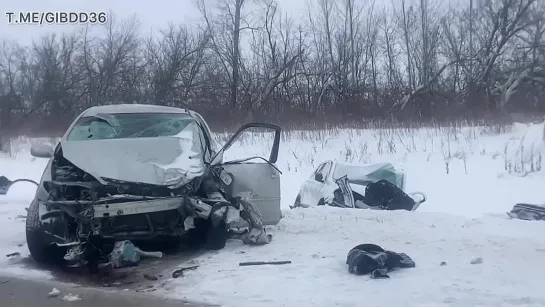 Массовое ДТП в Грибановском районе. Источник видео: ГИБДД Воронежской области