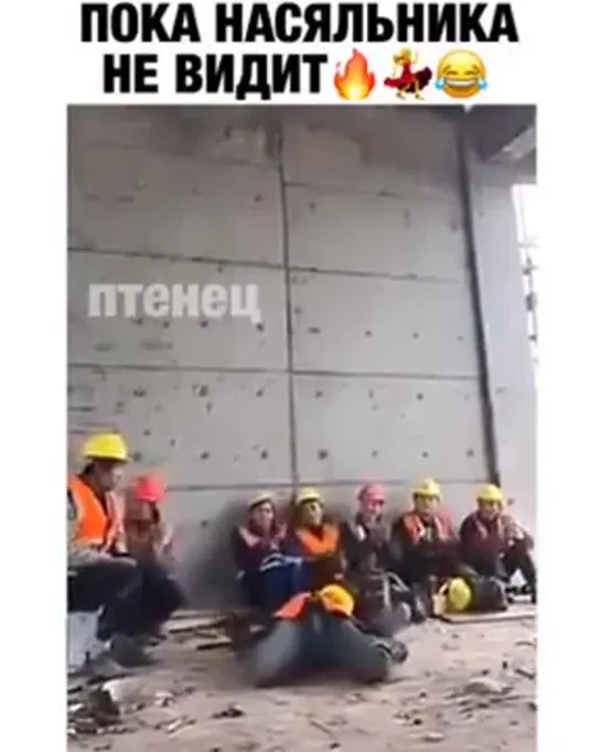 🕺🤣🔆ПОКА НАСЯЛЬНИКА НЕ ВИДИТ✨🕺🤣