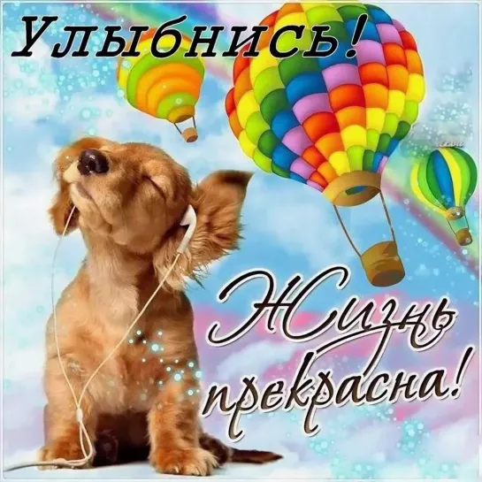 ЮМОР  💥🌞🙊😹 Установка на улыбку! 🙊😹🌞💥