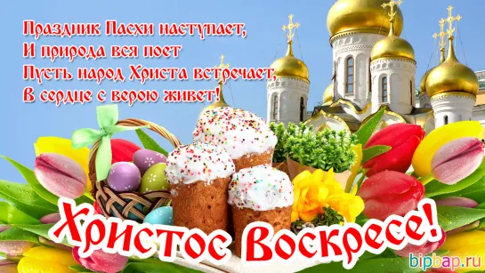 Христос воскрес! 💖ஜ۩۞۩ஜ🕊️💥●   Со светлой Пасхой!    ●💥🕊️ஜ۩۞۩ஜ💖