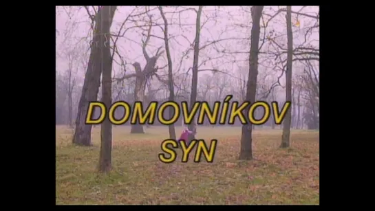 Domovníkov syn' 1993