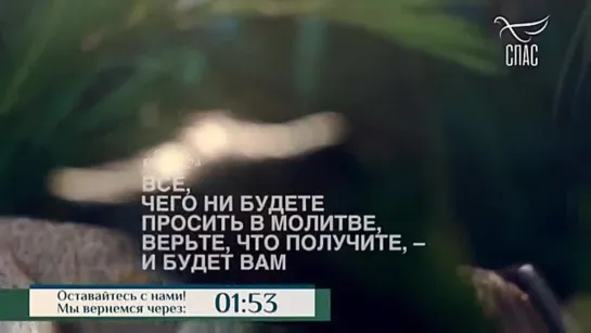 СКОЛЬКО ЛИТРОВ СВЯТОЙ ВОДЫ НЕОБХОДИМО ХРИСТИАНИНУ? ОТВЕТ СВЯЩЕННИКА