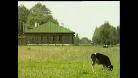 Тайны века. Сергей Есенин. Ночь в "Англетере"