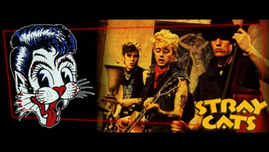 Stray Cats - Rumble in Brighton