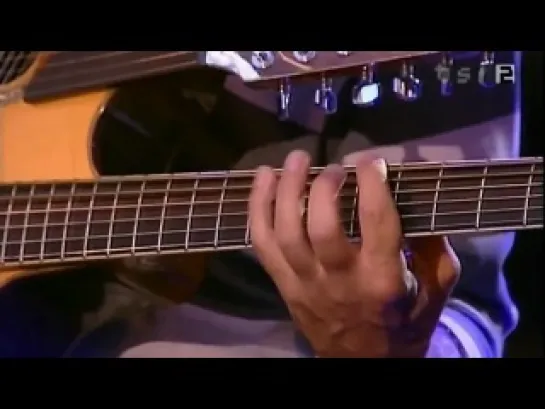 Pat Metheny  (Picasso Guitar)