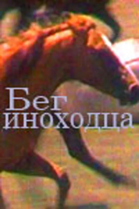 Бег иноходца (1968)мелодрама, фильм о животных