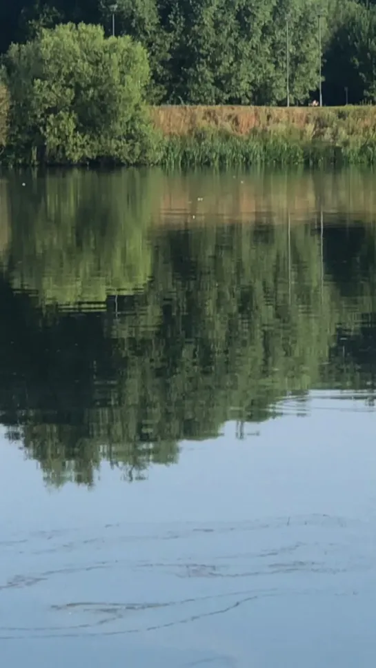 Видео от Юрия Щавинского