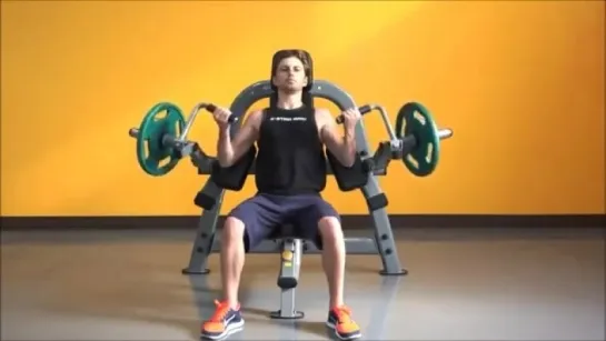 Steelflex Plate Load Series Instruction Video-PLBC (Biceps Curl Machine)