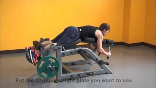 Steelflex Plate Load Series Instruction Video-PLLC (Leg Curl Machine)