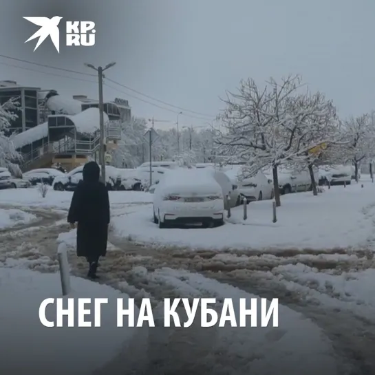 Снег на Кубани