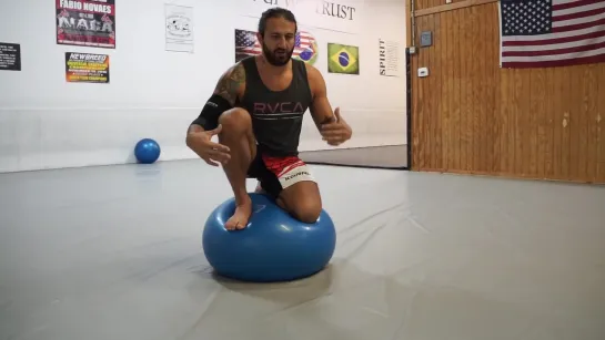 HOW TO DO A BJJ BALANCE BALL FLOW #bjf_drills