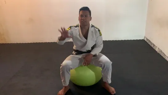 BJJ Solo Drills - Stability Ball #bjf_drills