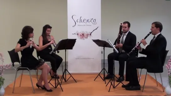 For the love of a princess, Braveheart - Scherzo Woodwind Quartet