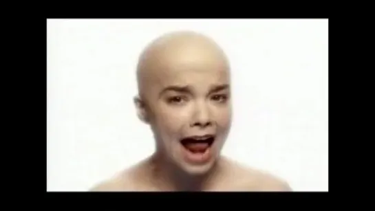 Bjork - Hunter