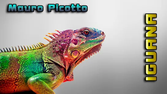 Mauro Picotto - Iguana