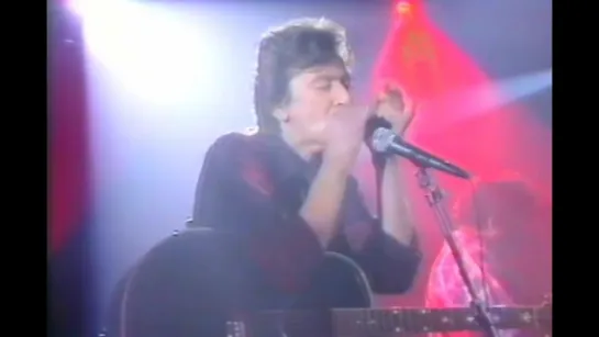 Alain Bashung - Les Grands Voyageurs