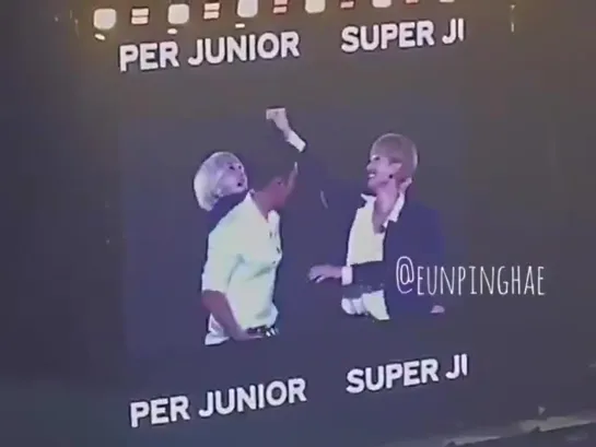 imagine being at a joint concert with ur whole company.... and spending 30 seconds doing whatever this is.... suju pls i love u