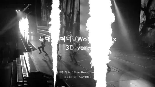 EXO (엑소) - 늑대와 미녀 (Wolf) Remix (3D ver.)