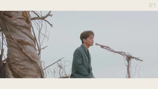 [MV] EXO CHEN Jongdae 첸 사월이 지나면 우리 헤어져요 (Beautiful goodbye) MV