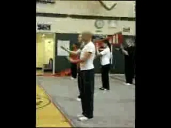 Master Gordon Liu- Hung Gar Seminar