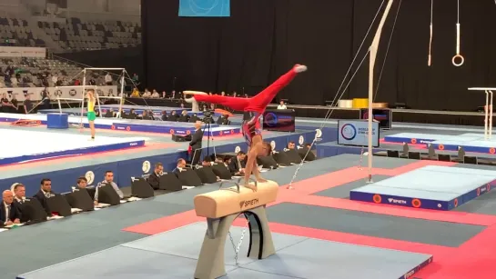 Видео от KARELIAN GYMNASTICS TEAM