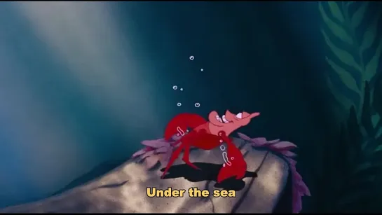 Under the Sea