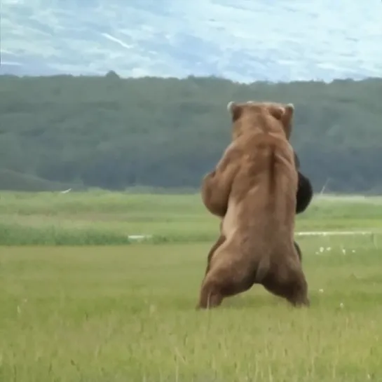 Видео от Живая планета