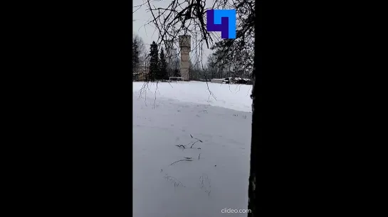 В Луге обрушилась старая водонапорная башня