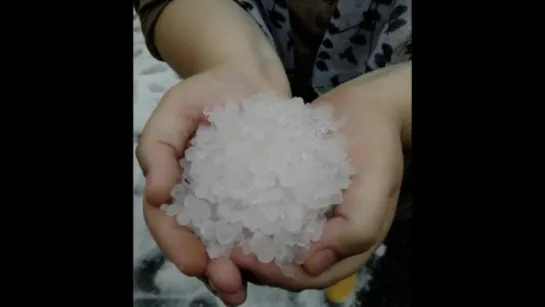 Snowballs in July؟ St  Petersburg covered with piles of ‘snow’