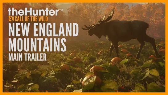 TheHunter: Call of the Wild получит заповедник Новой Англии и улучшения для консолей PS5 и Xbox Series X/S 6 декабря