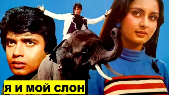 Я и мой слон 1981 Main Aur Mera Haathi - Митхун Чакраборти, Пунам Диллон