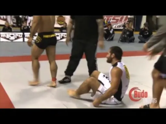 Rousimar 'Toquinho' Palhares Highlights