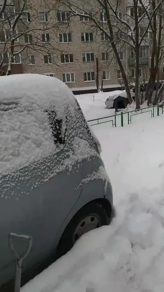 Видео от Светланы Пушниной