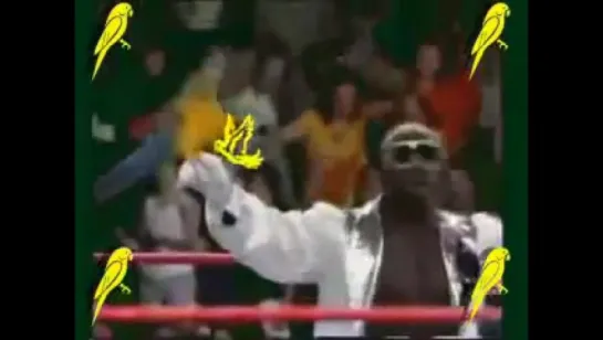 Koko B. Ware titantron