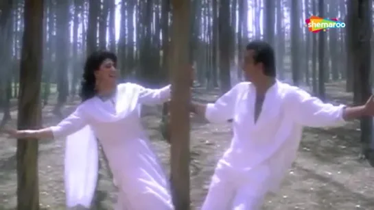 Kabhi Tum Hamse Karo _ Khoon Ka Karz (1991) _ Vinod Khanna _ Dimple Kapadia _ Hi