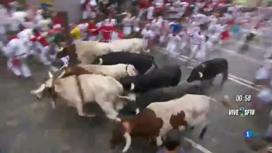 San Fermín 2018 - Primer Encierro  07.07.2018  - Ganadería del Puerto de San Lorenzo