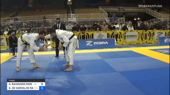 Medium-Heavyweight fin  - SERGIO RIOS vs GREGOR GRACIE #MastersWorld2020