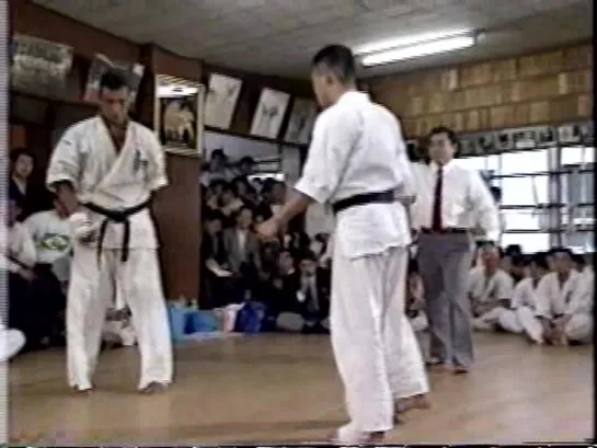 kyokushin karate kumite - Francisco Filho - Hyakunin Kumite (100 man fight)