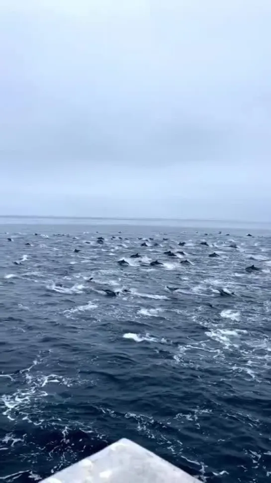 Видео от Алексея Королева