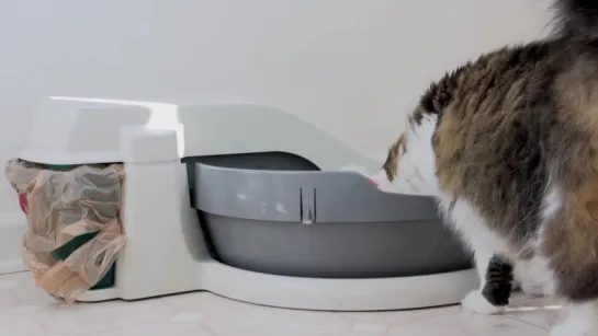 [PetSafe simply clean automatic litter box]