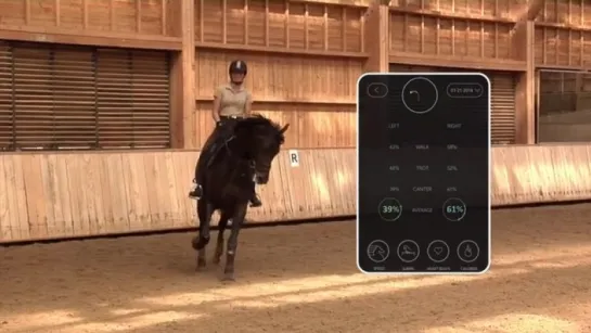 [Seaver - The first connected equipment for horses]