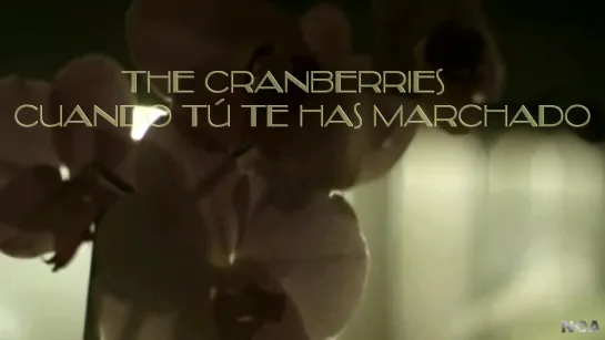 The Cranberries - When youre gone - Cuando tú te has marchado - Trad Español