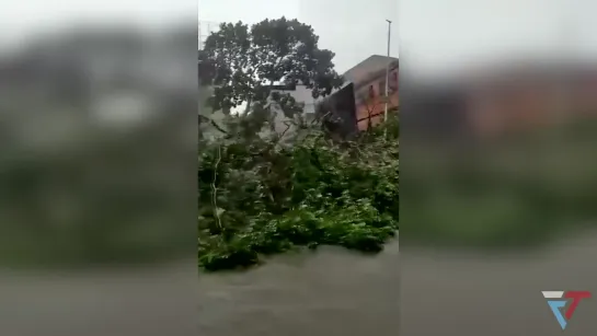 Сapital of Venezuela, Caracas, was flooded due to heavy rain. Natural Disasters. Weather. Сlimate